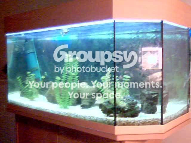 NewTank2.jpg
