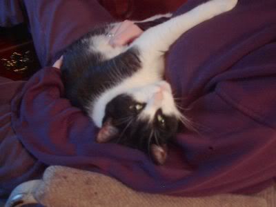 pics007.jpg