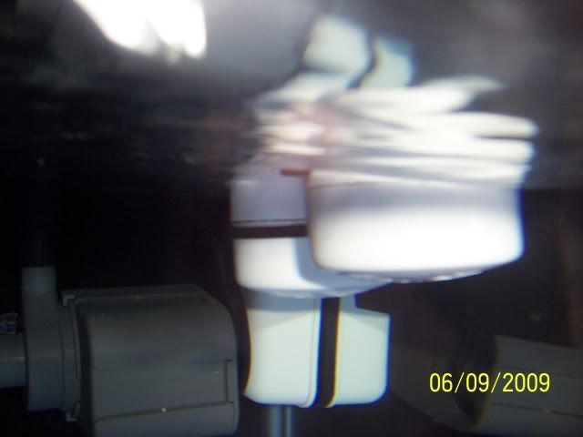 100_6565.jpg
