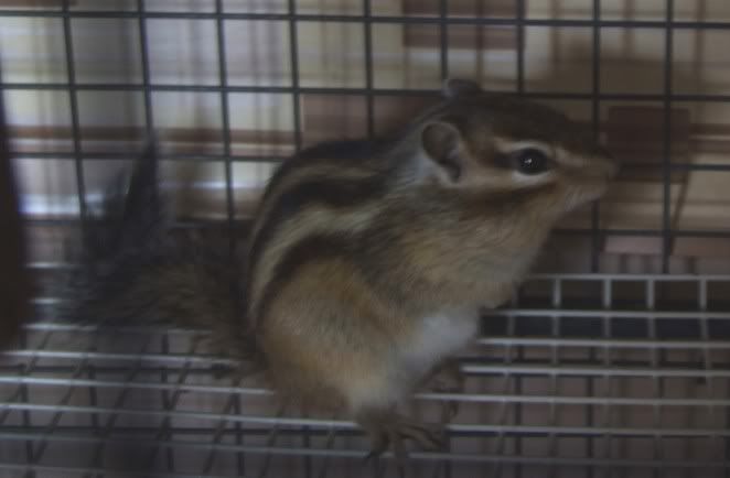 DSCF1133.jpg