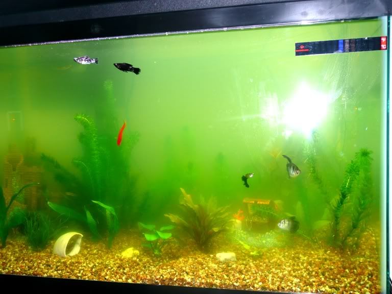 09_26_2010_Cloudy_Aquarium.jpg