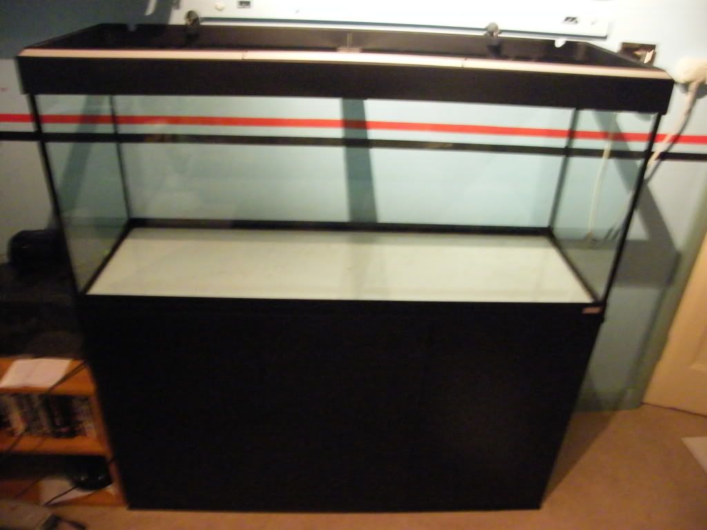 DSCF4561.jpg
