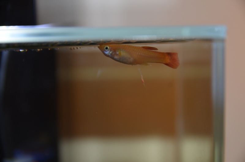 dsc_0713.jpg
