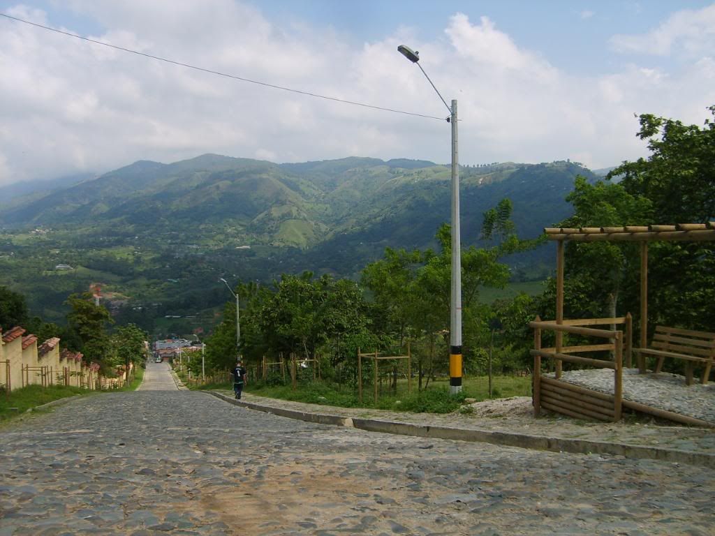 S5007791.jpg