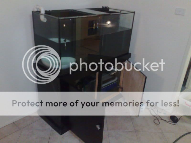 28082009927.jpg