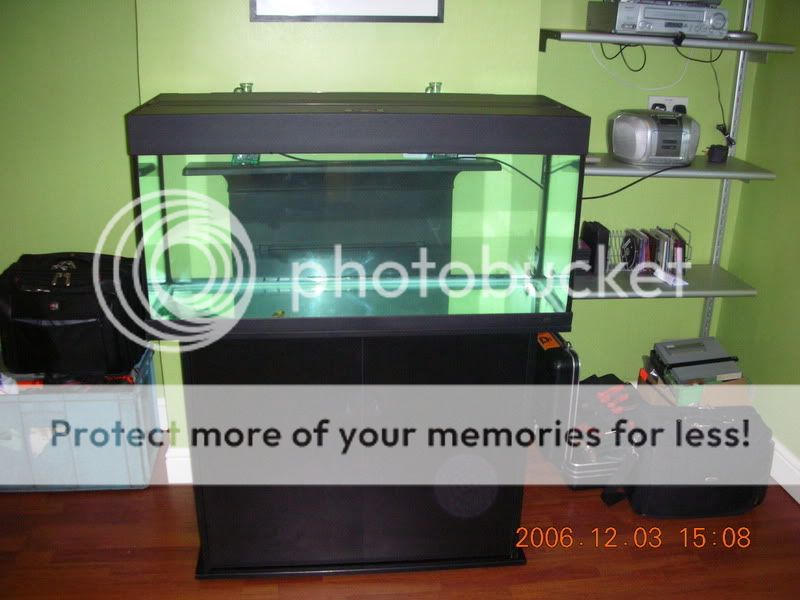 DSCN1453.jpg