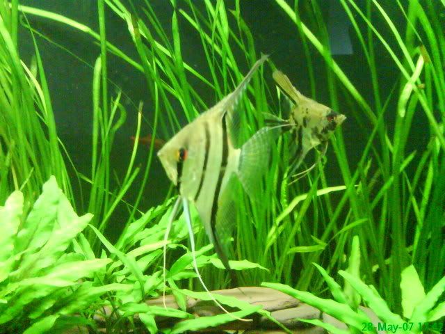 DSC00010.jpg