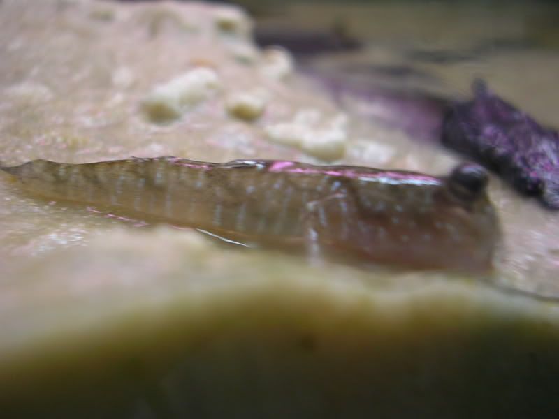 DSCN2983.jpg