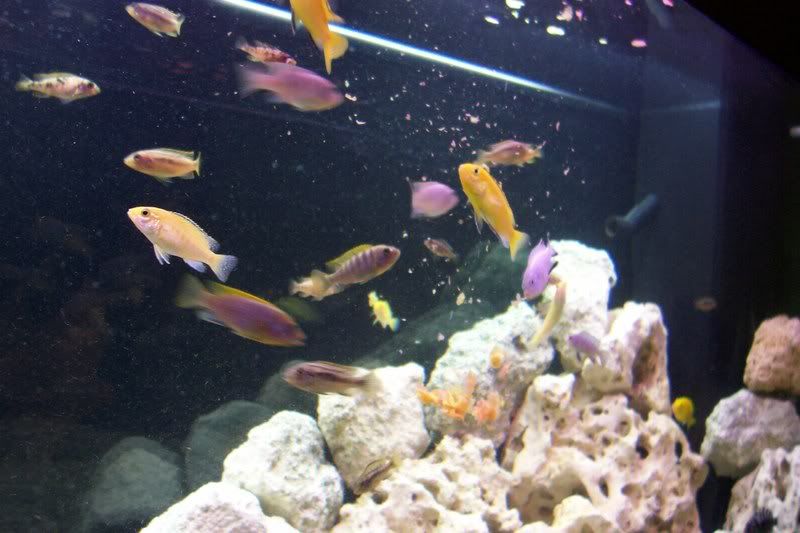 100_0491.jpg
