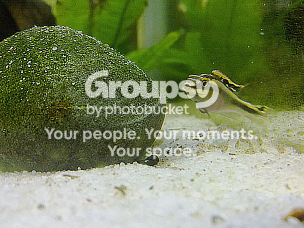 23012012637.jpg