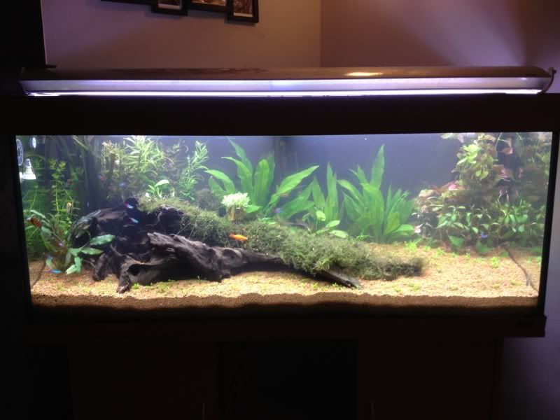 tank059.jpg