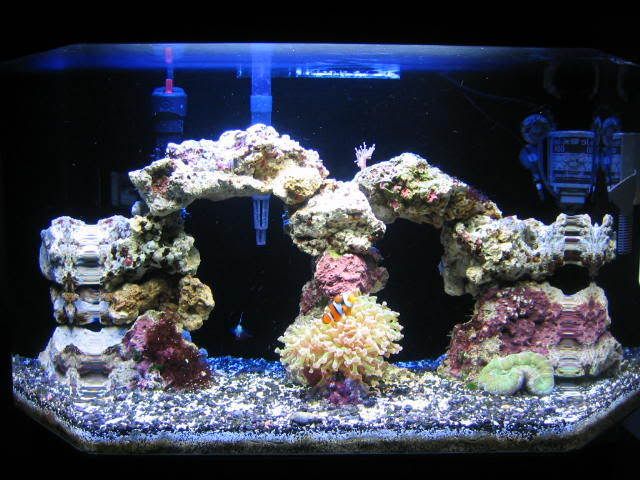 fts1.jpg