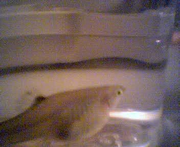 Picture021.jpg