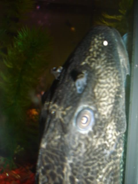 DSC03389.jpg