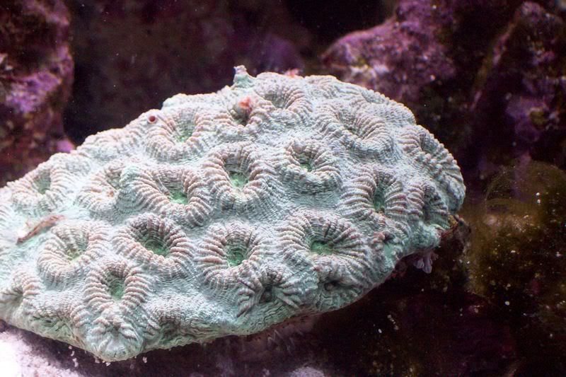 aquarium147.jpg
