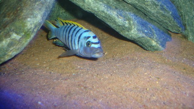 DSC03371.jpg