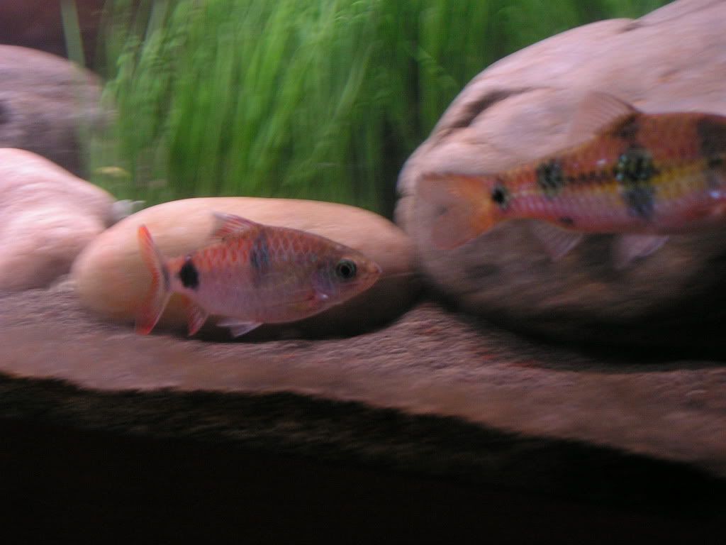 PICT1501.jpg