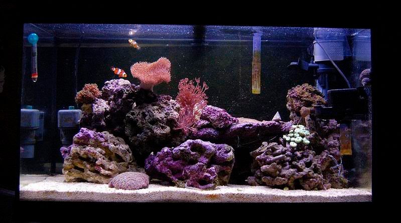 tank100507.jpg
