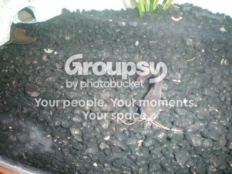 PictureorVideo005.jpg