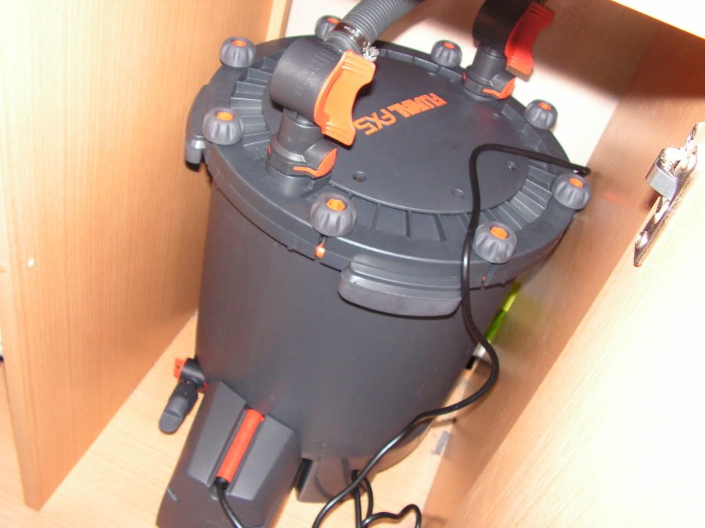 PICT1387.jpg
