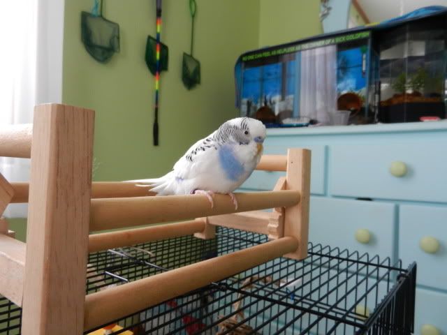 DSCN3566.jpg