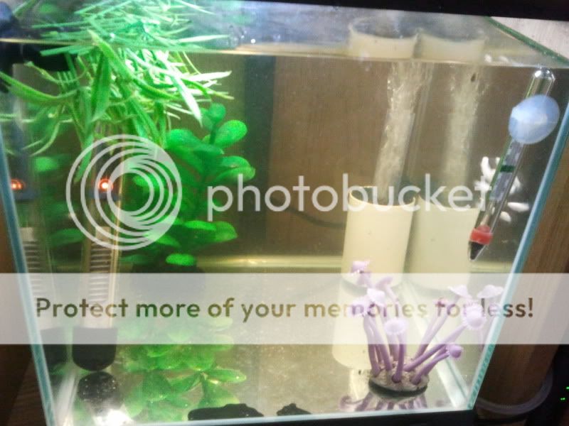 2011-04-17191900.jpg