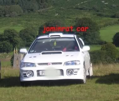 roofscoop.jpg