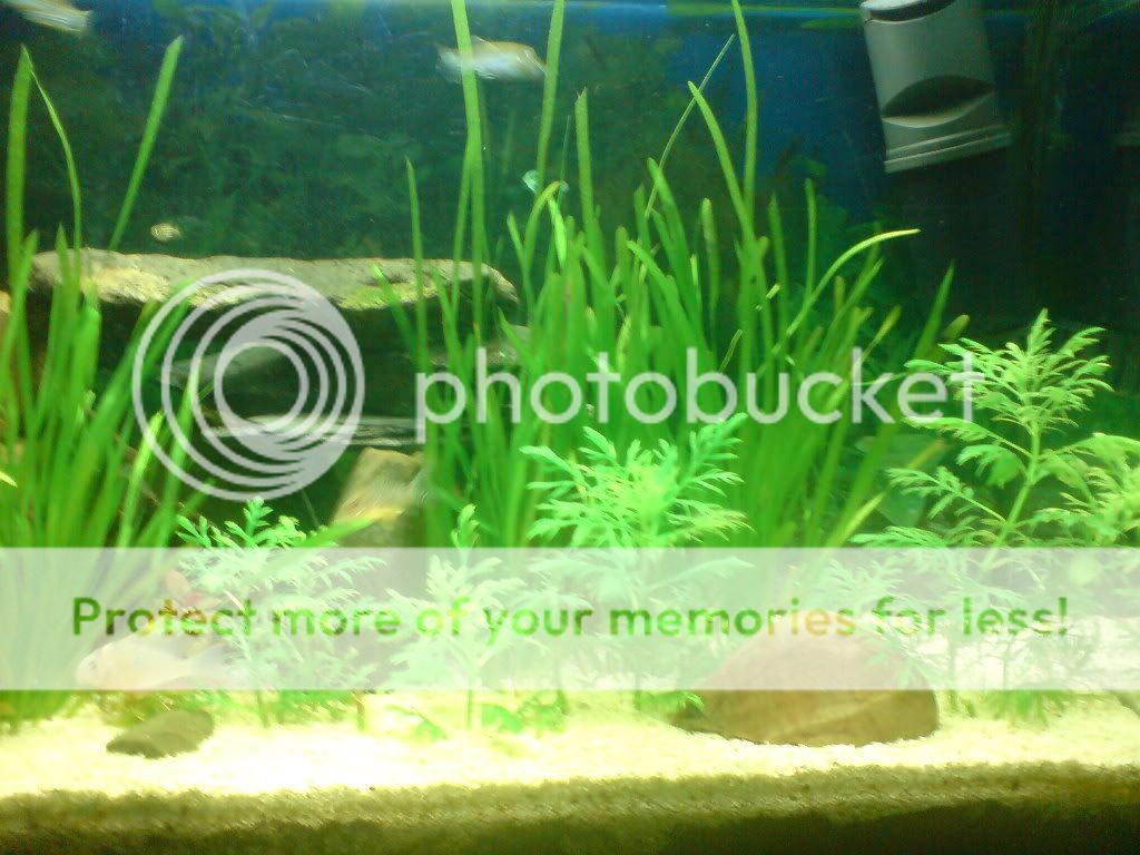 DSC00654.jpg