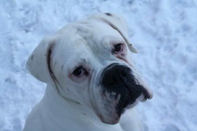 KaiRiley10-02-2009014.jpg