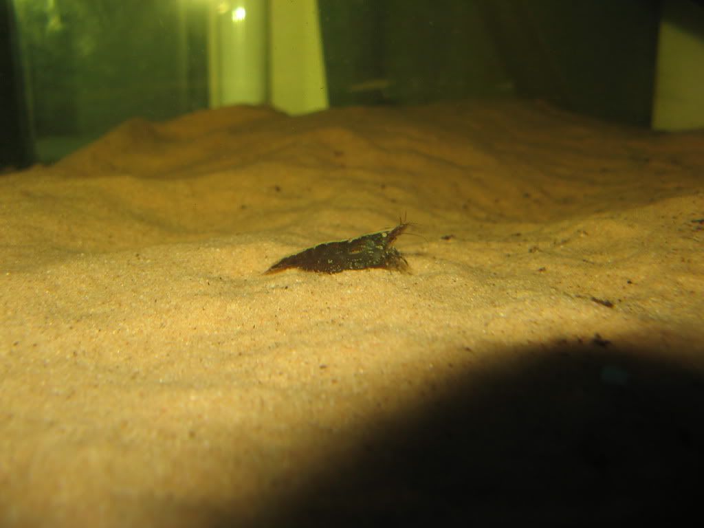 IMG_5686.jpg