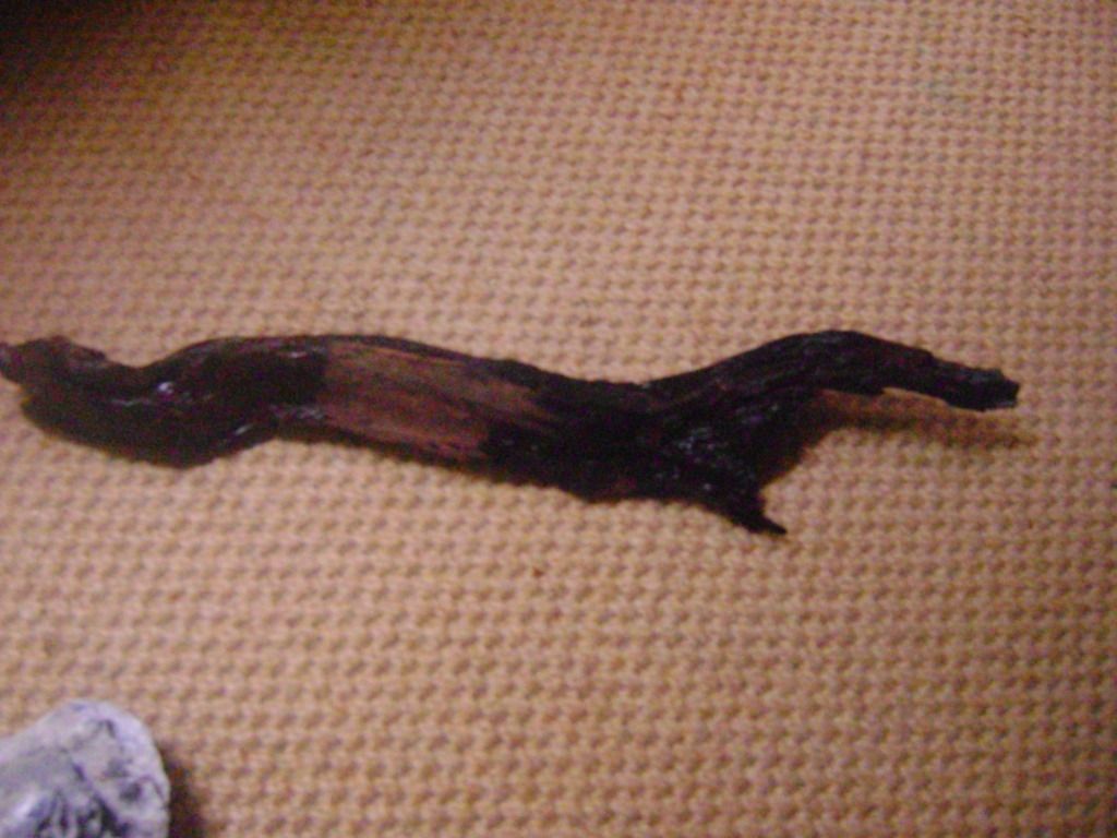 DSC028392.jpg