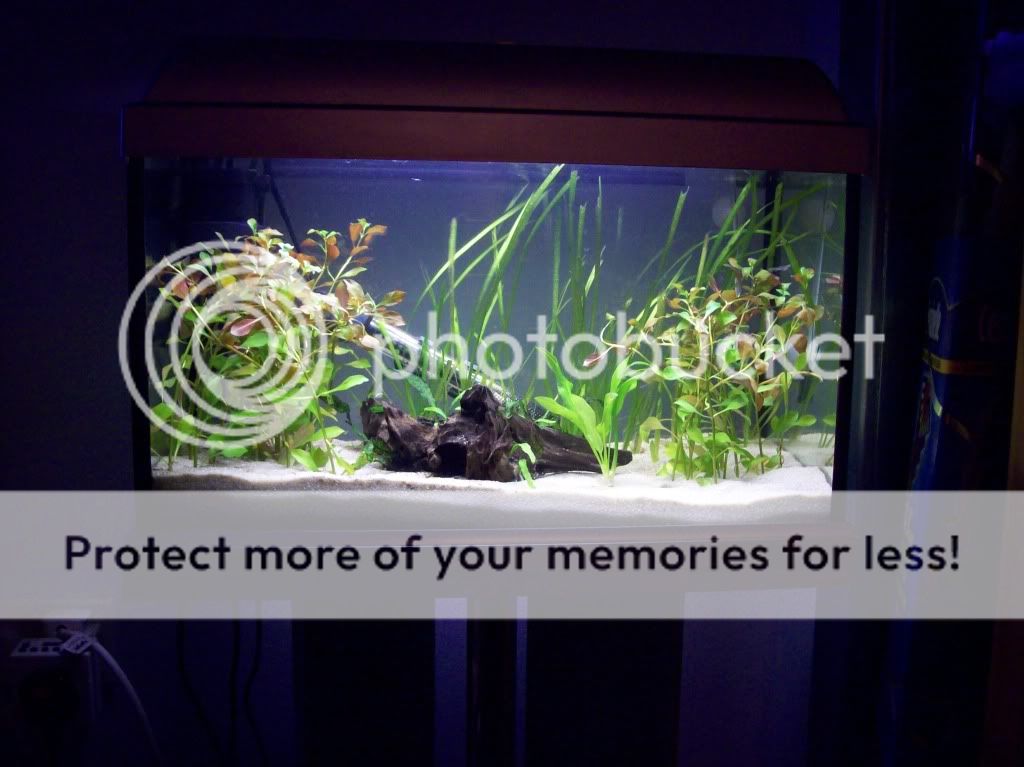 100_1243.jpg