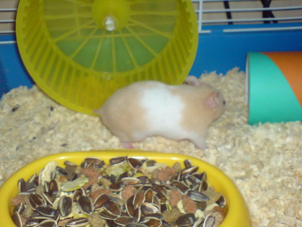 DSC01383.jpg