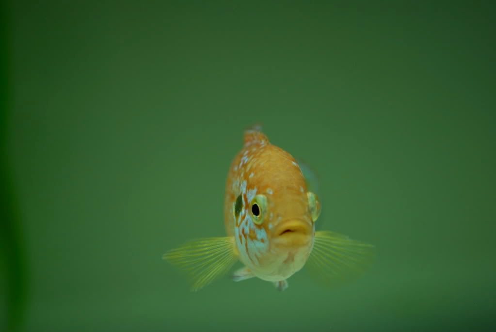 DSC_0013.jpg