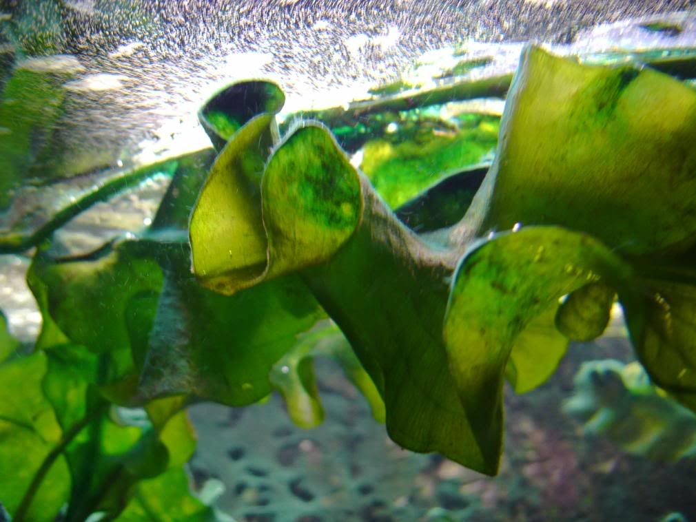 IMAG0021-2.jpg