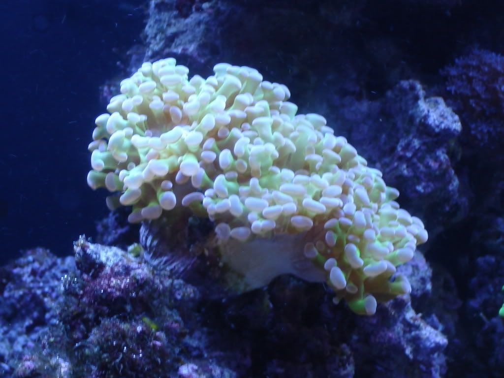 DSC01319.jpg