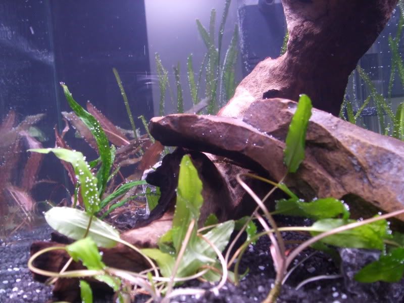 DSCF2191.jpg