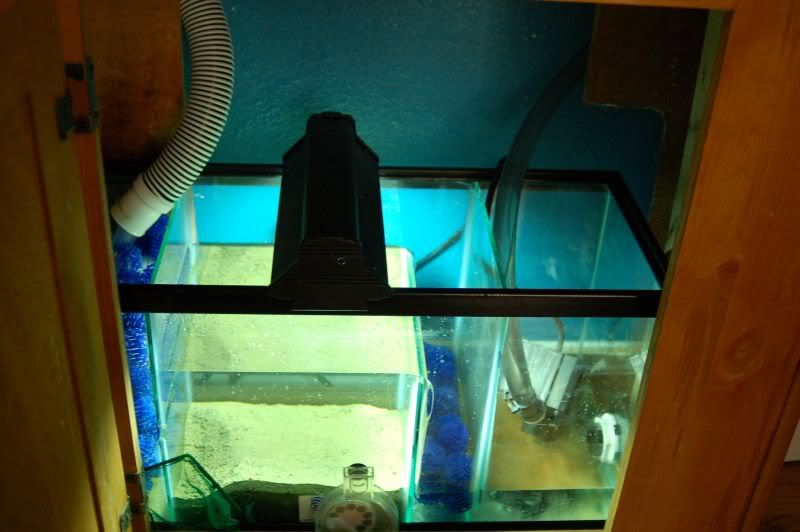 aquarium006-1.jpg