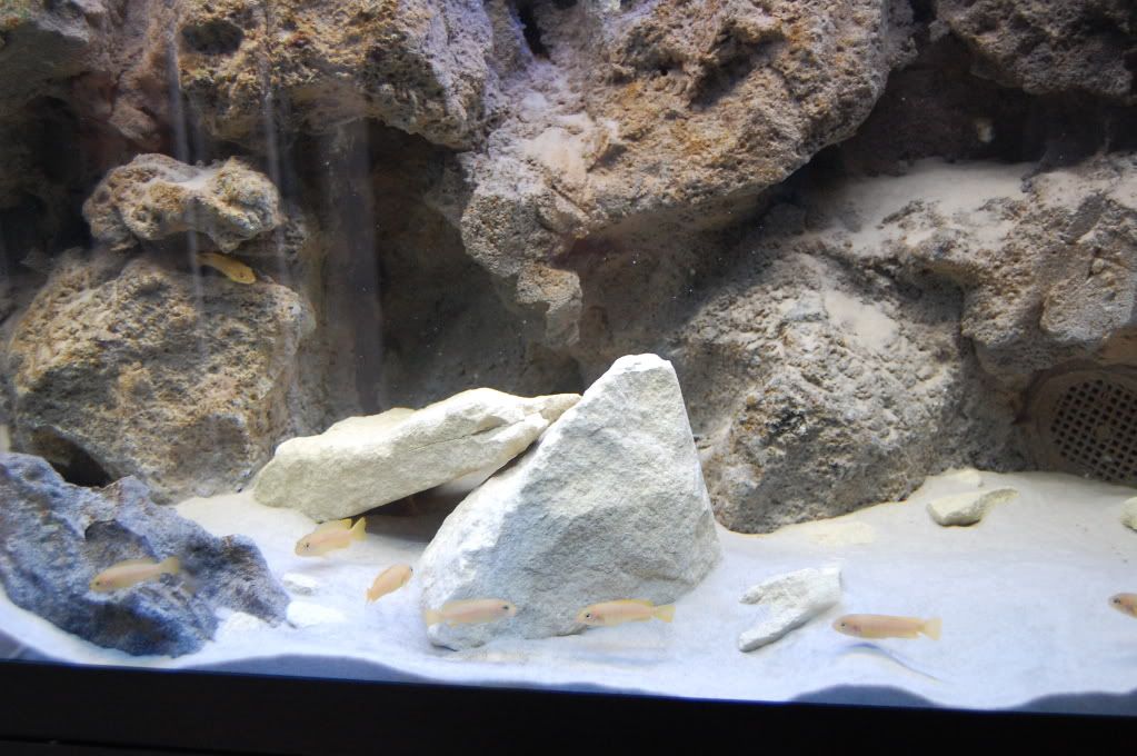 DSC_0240.jpg
