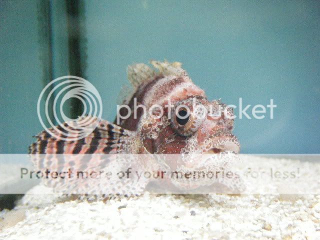 Picture060.jpg