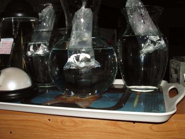 Synirrbabies008.jpg