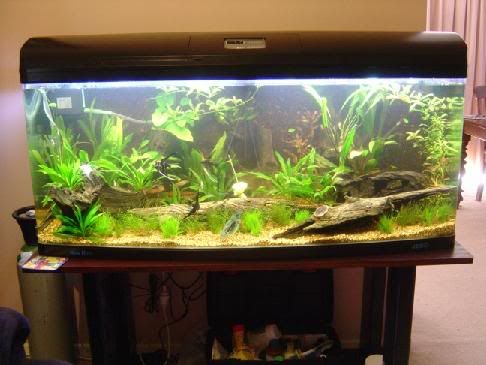 tank5.jpg