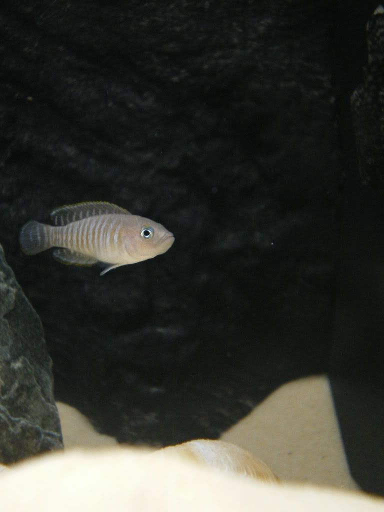 IMGP1311.jpg