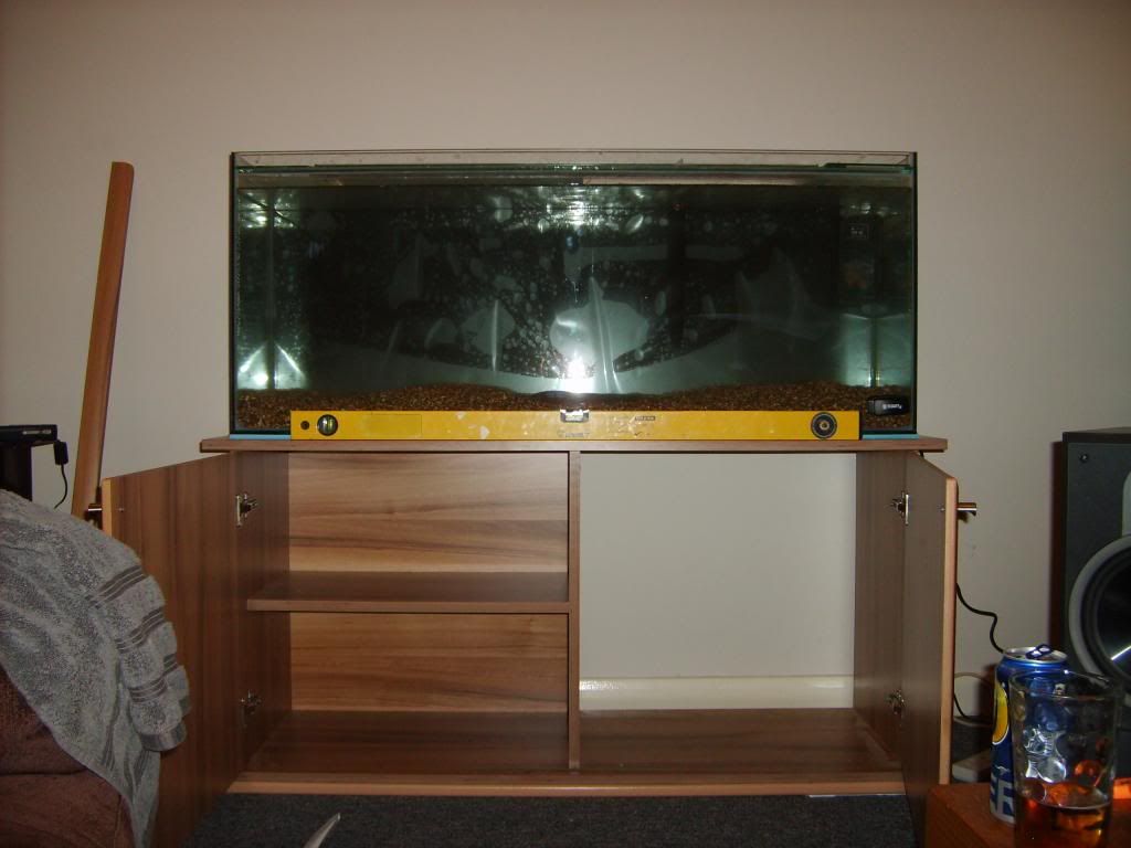 S5001822_zpsf1028088.jpg