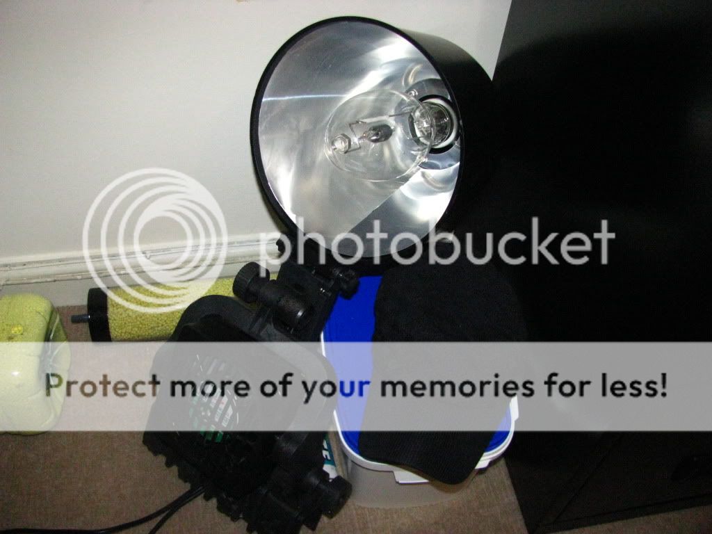 Light001.jpg