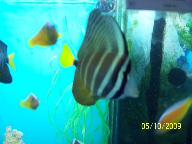 100_6125.jpg