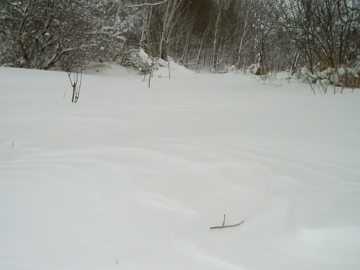 3-13-06WinterStorm028.jpg