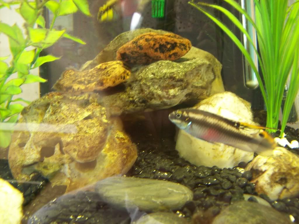 100_0339.jpg