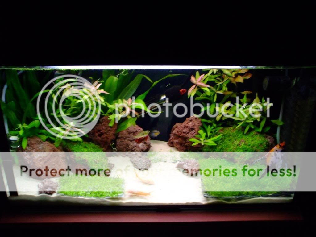DSCF9208.jpg