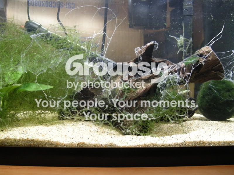 Picture002.jpg